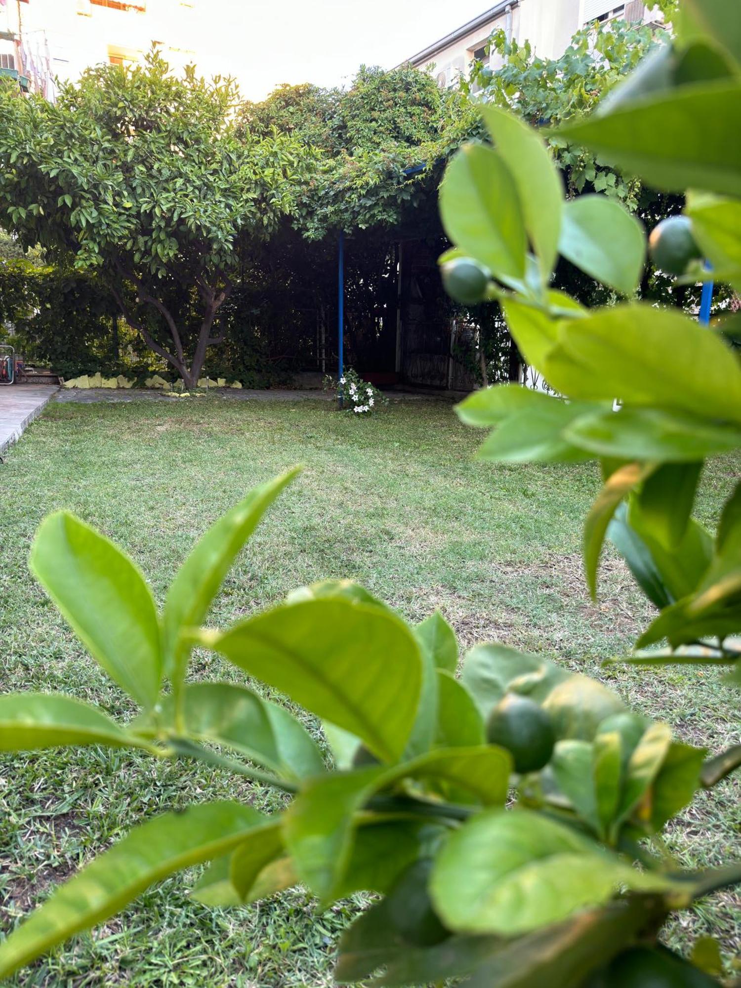 Valentinas Garden Lägenhet Split Exteriör bild